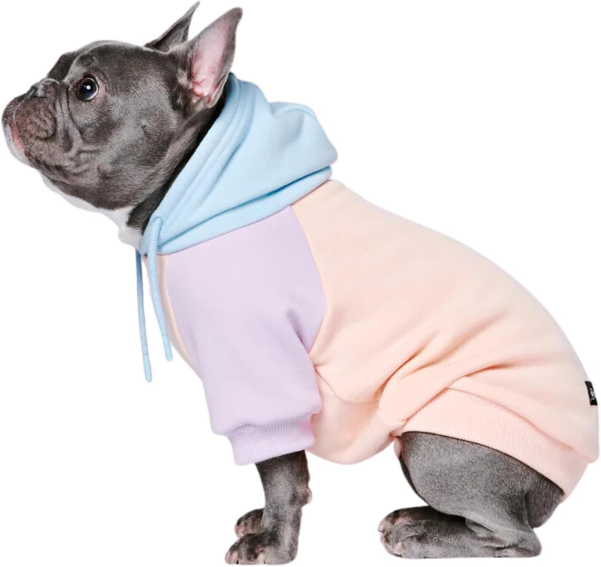 Spark Paws Dog Hoodie – Premium Dog Sweater for Small, Medium, and Large Dogs | Warm Outfits for