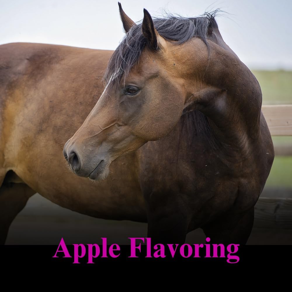 SU-PER Gain Weight for Horses - Equine Supplement Weight Gainer for Horses - Promotes Lean Muscle