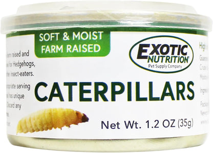 Canned Caterpillars (1.2 oz.) - Healthy High Protein Insect Treat - Hedgehogs, Sugar Gliders