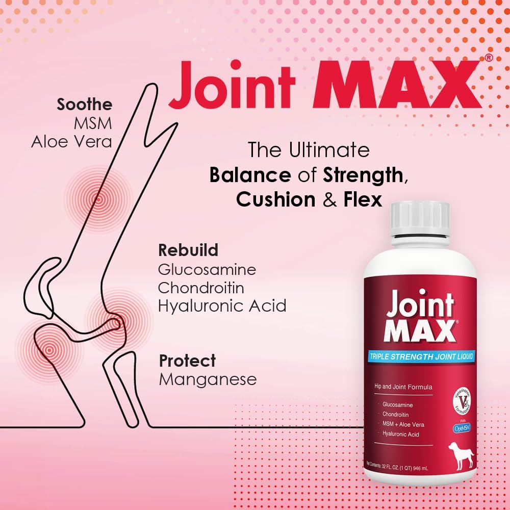 Liquid for Dogs - Vitamins, Minerals, Antioxidants - Glucosamine, Chondroitin - Beef Flavor