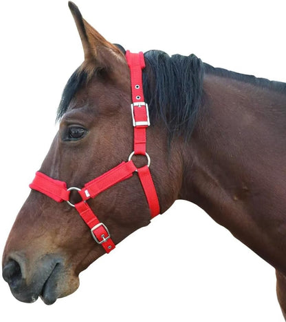 Horse Halter with Wool Lining, Adjustable Halter for Horses Satin Hardware to Prevent Friction