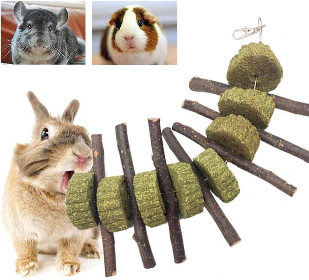 Bunny Chew Toys for Teeth, Organic Apple Wood Molar Sticks with Timothy Hay Circles for Bunny
