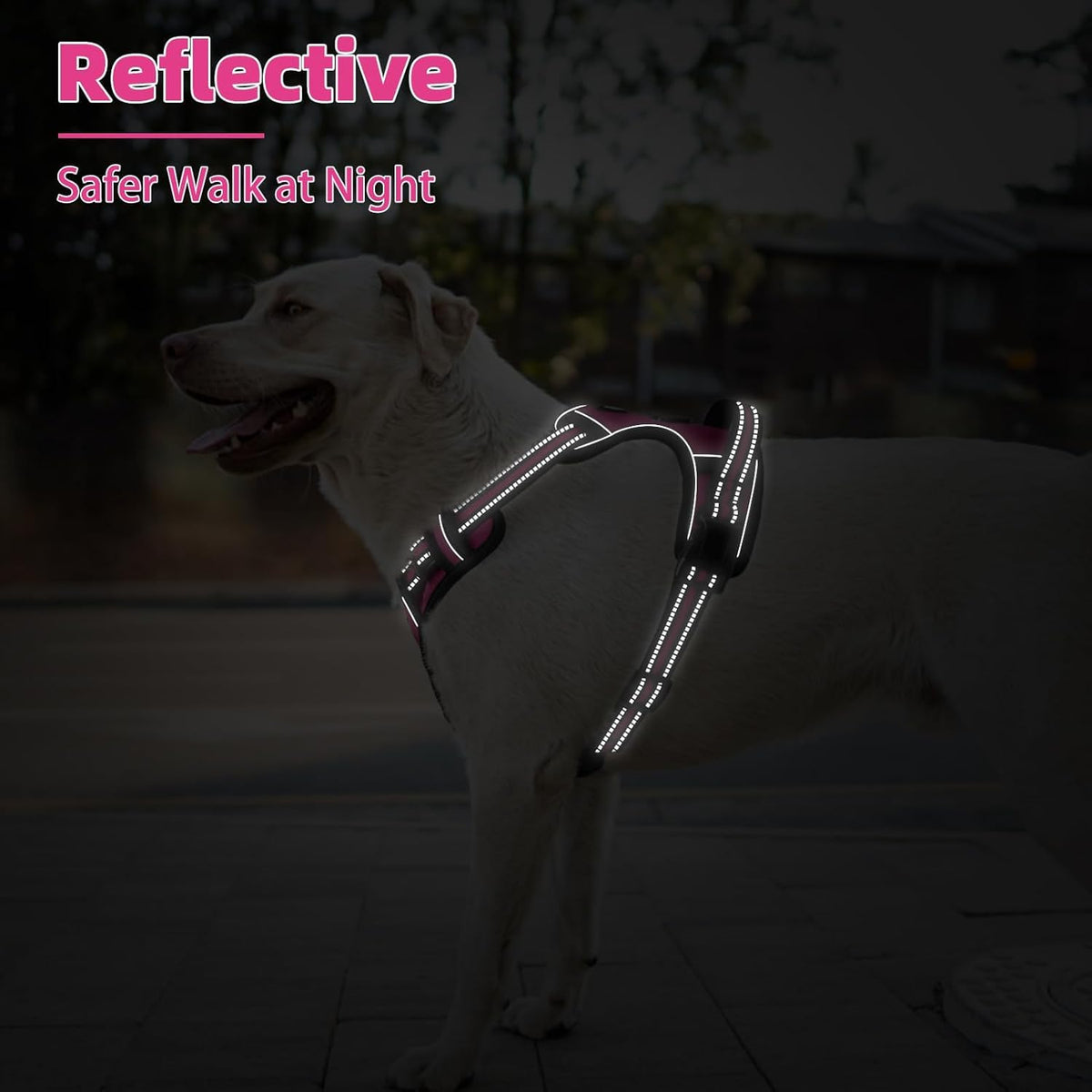 PUPTECK No Pull Dog Harness for Large, Adjustable Reflective Dog Harness with Handle Easy Control