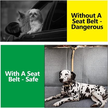 Plutus Pet Dog Seat Belt for Car Headrest, Reflective and Adjustable Restraint with Elastic Bungee