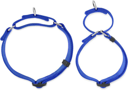 Hyhug Martingale Dog Collar Without Buckle: Escape Proof, No Slip Heavy Duty Nylon, Colorfast and