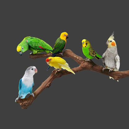 Allazone 5 PCS Natural Grape Stick Perch Swing Chewing Toys for Parrot Cages, Cockatiels