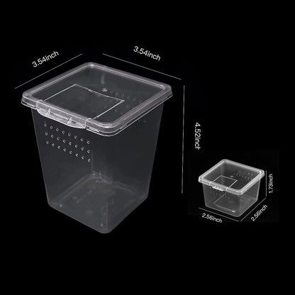 Small Reptile breeding Box Spider Terrarium freeding Box for arboreal Tarantula Scorpion Sling