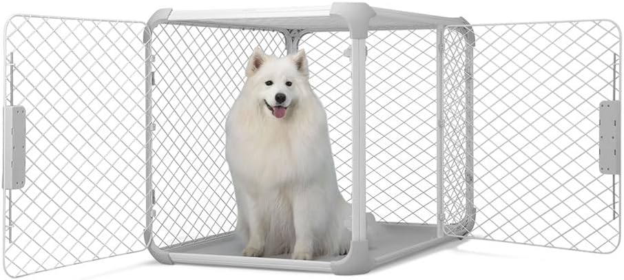 DIGGS Evolv Dog Crate - Slim, Durable Dog Kennel with Removable Ceiling Panel and Modular Design