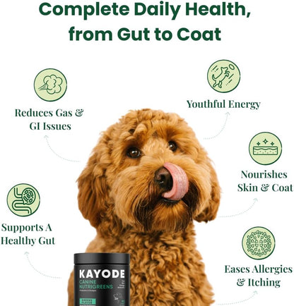 Canine NutriGreens - Natural Dog Vitamins & Probiotics for Dogs. No Messy Powder. Includes