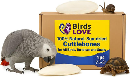 Birds LOVE 7.5" to 8" Natural Cuttlebone for Birds, Tortoises, Snails & Crabs (1 Pack) – 100% Pure