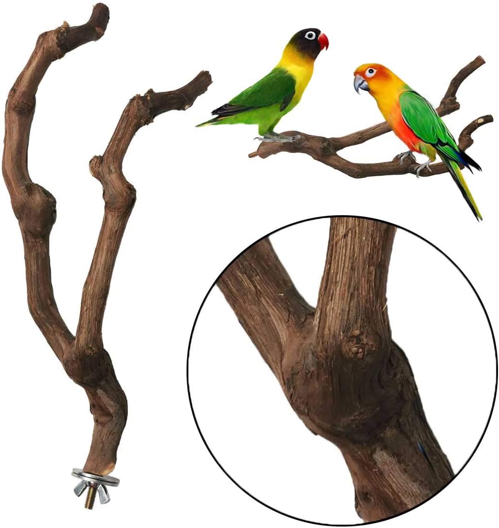 PINVNBY Natural Parrot Perch Bird Stand Pole Wild Grape Stick Paw Grinding Fork Parakeet Climbing