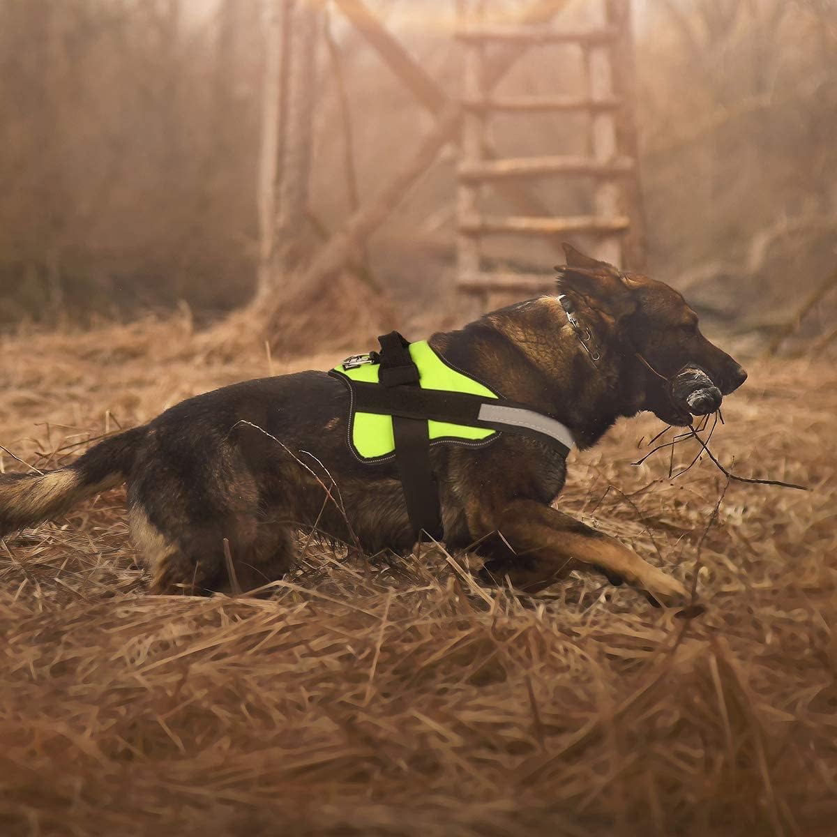 Bolux Dog Harness, No-Pull Reflective Dog Vest, Breathable Adjustable Pet Harness with Handle for