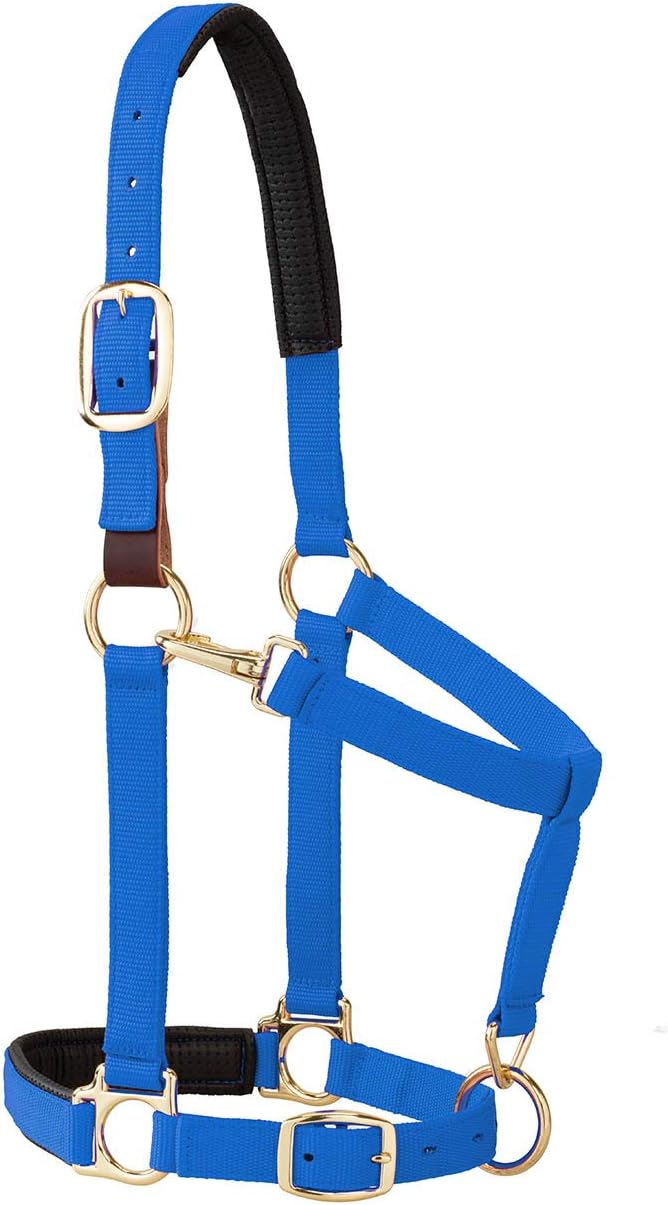 Weaver Equine Breakaway Horse Halter, Comfort Foam Padding, Adjustable Chin & Throat Snap Halters