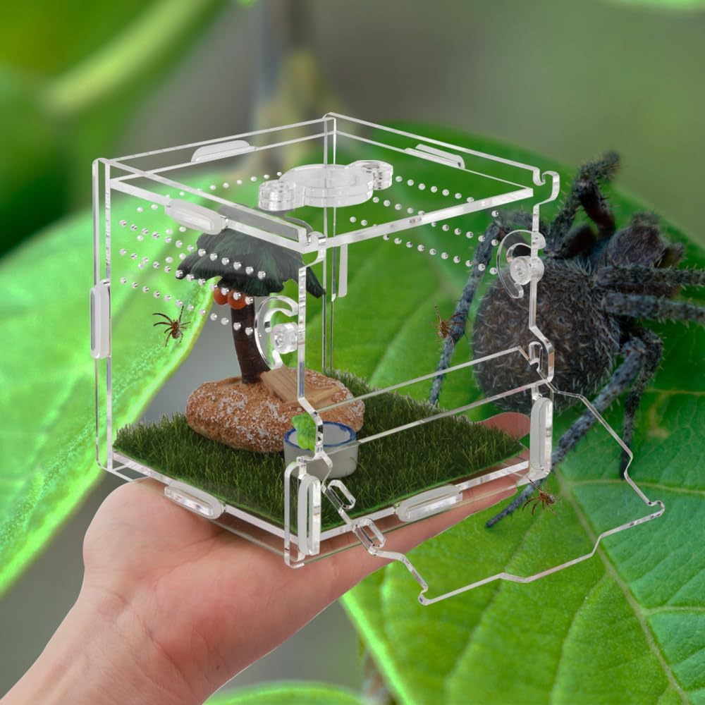 Reptile Terrarium,Tarantula Enclosure,Jumping Spider Enclosure for Tarantula Scorpion Sling Isopods