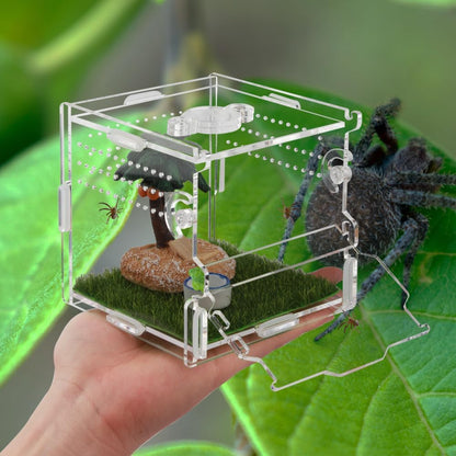 Reptile Terrarium,Tarantula Enclosure,Jumping Spider Enclosure for Tarantula Scorpion Sling Isopods