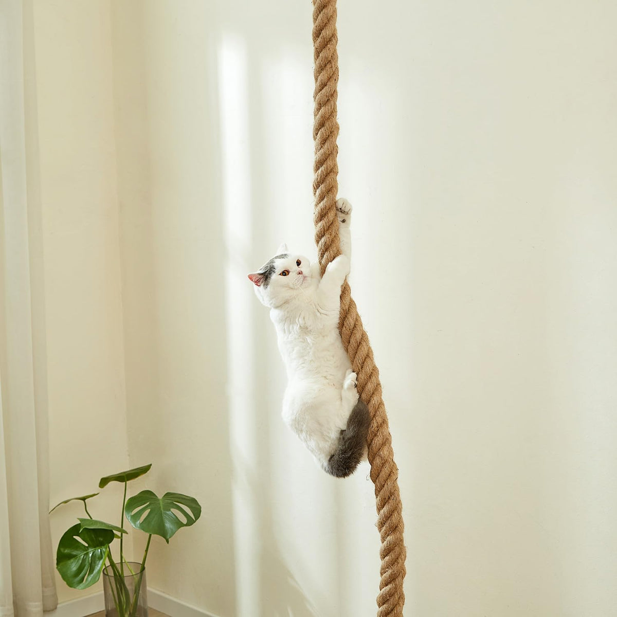 SHENGOCASE 1.9" x 8.9Ft Cat Climbing Jute Rope for Ceiling with Hook, Wall Mounted Furniture for
