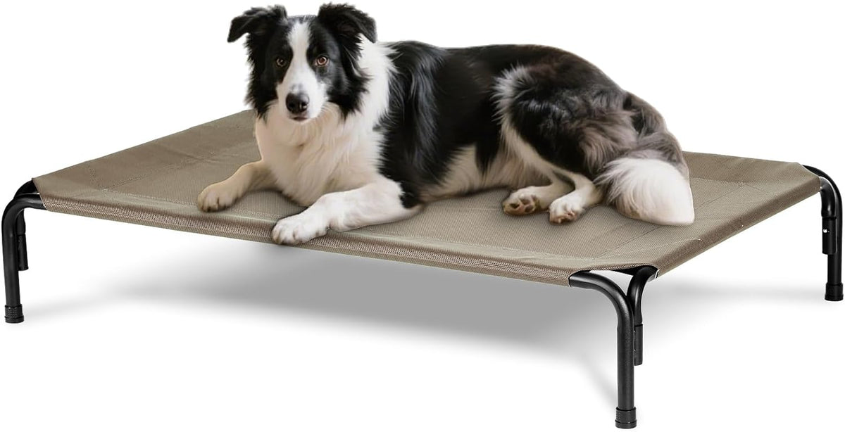 Elevated Dog Bed for Outdoor, Large Raised Dogs Cot for Training, Cooling Pet Beds with Washable