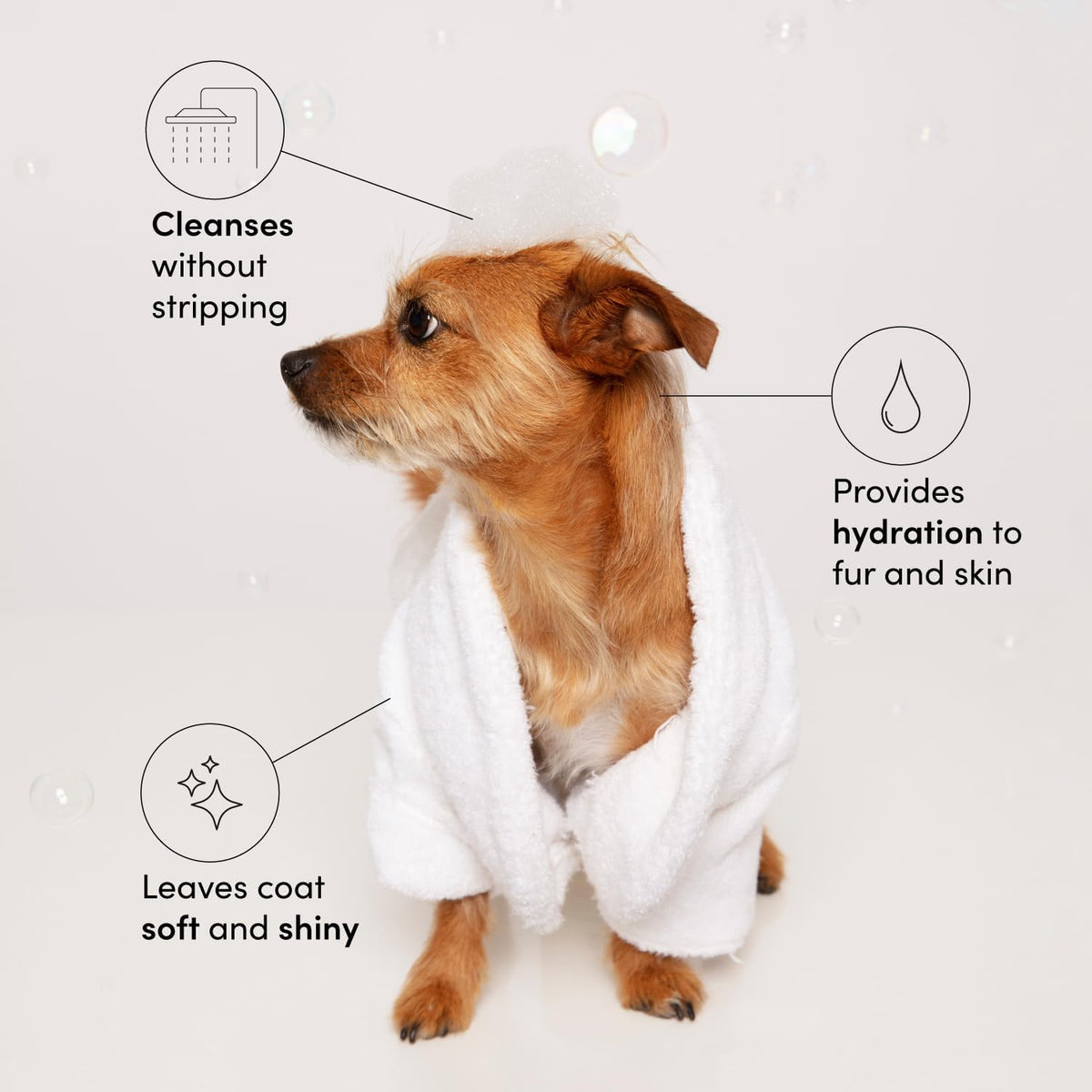 OUAI Fur Bébé Pet Shampoo, Mercer Street Scent - Dog Shampoo and Coat Wash for Hydrating, Cleansing