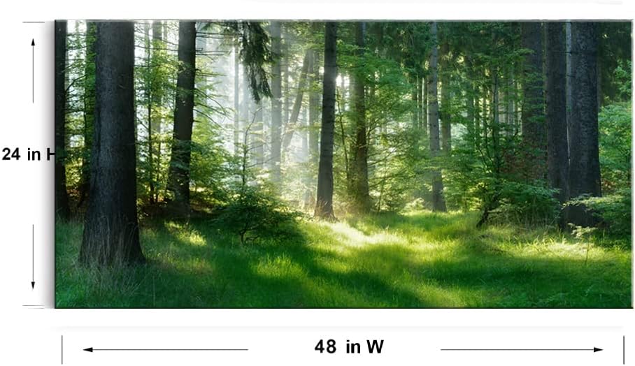 Morning Sunlight Forest Large Stretched Canvas Wall Art for Living Room Bedroom Home,Mordern Woods