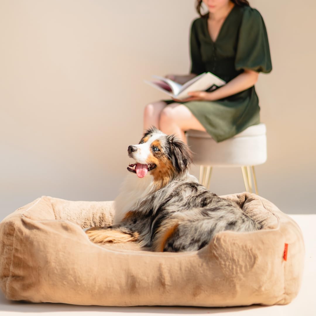 FUZI Luxury Aesthetic Dog Bed for Small Dogs with Washable Cover, Pet Couch, Pet Bed with Sides