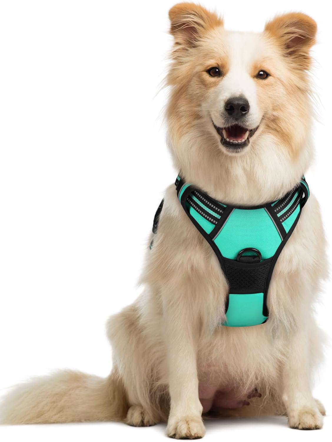 rabbitgoo Dog Harness No Pull with 2 Leash Clips, Adjustable Soft Padded, Reflective Oxford No