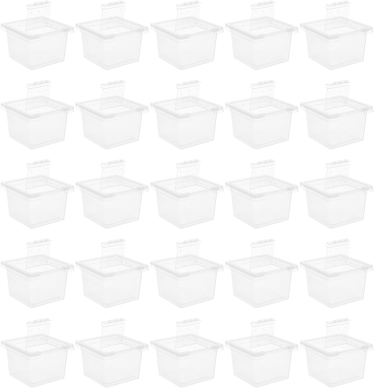 balacoo Reptile Feeding Box: 100Pcs Reptile Breeding Box Plastic Transparent Feeding Enclosure Case