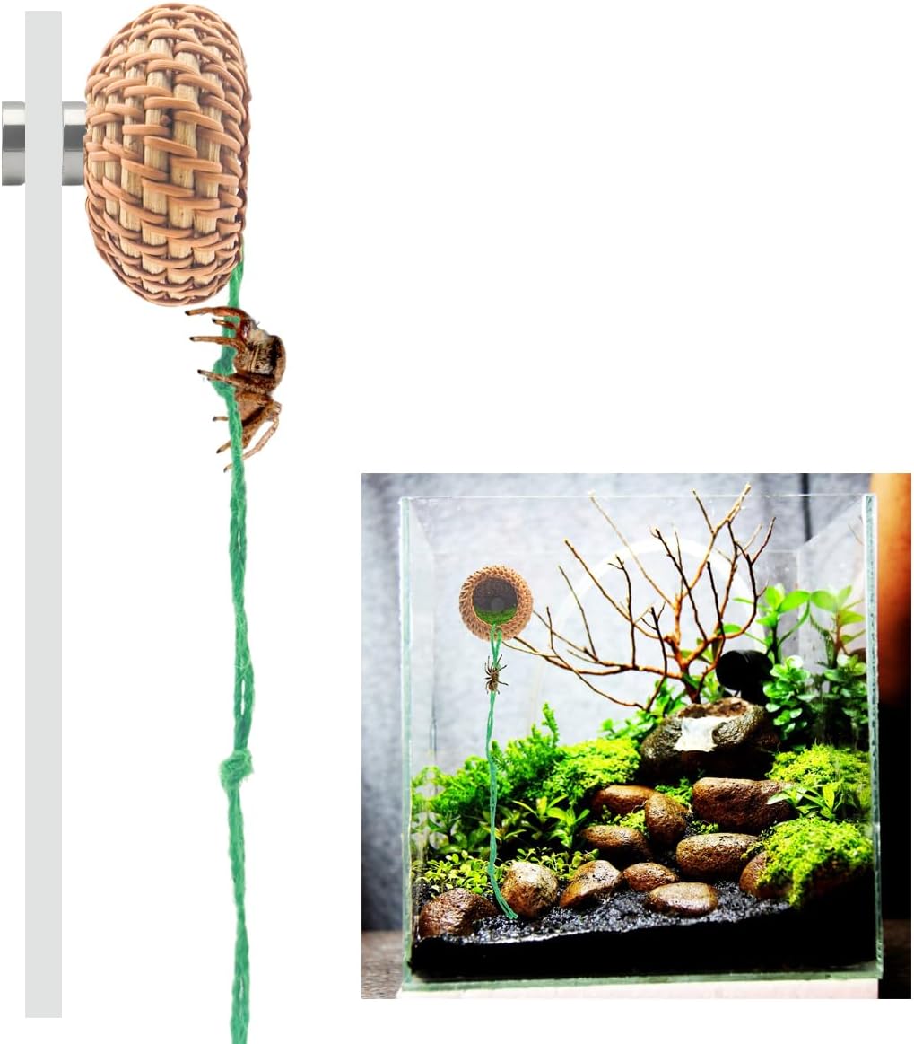 1 Pcs Jumping Spider Accessories，Shelter Made of Cane, Essential for Jumping Spider Hide