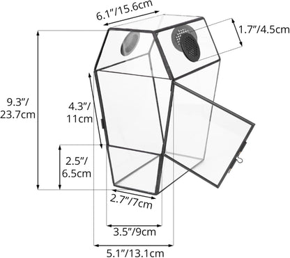 NCYP Gothic Glass Enclosure for Jumping Spider, Snails, Insects - Front Opening Door Geometric