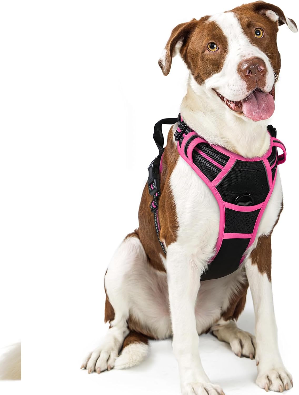 rabbitgoo Dog Harness No Pull with 2 Leash Clips, Adjustable Soft Padded, Reflective Oxford No