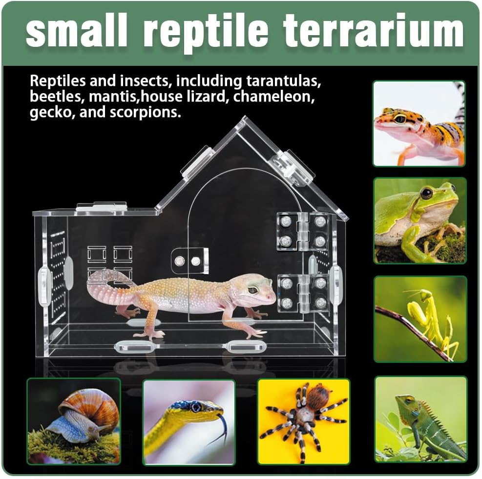 Acrylic Jumping Spider Enclosure - Versatile Reptile Enclosure with One-Click Magnetic Closure