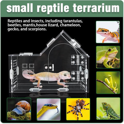 Acrylic Jumping Spider Enclosure - Versatile Reptile Enclosure with One-Click Magnetic Closure