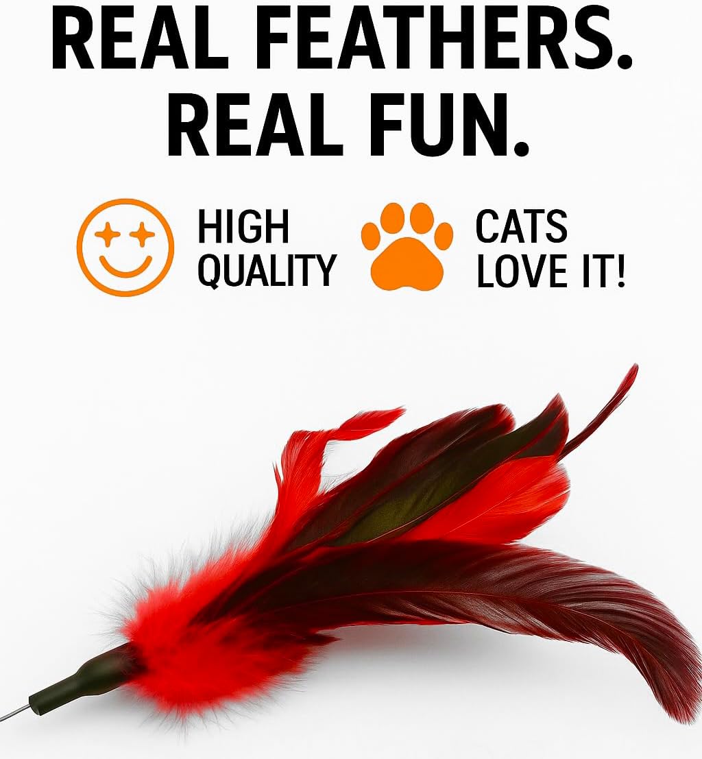 Cat Wand Toy Feather Sticks - 5 Piece Interactive Wands Toy Set with Feathers, Durable Spring