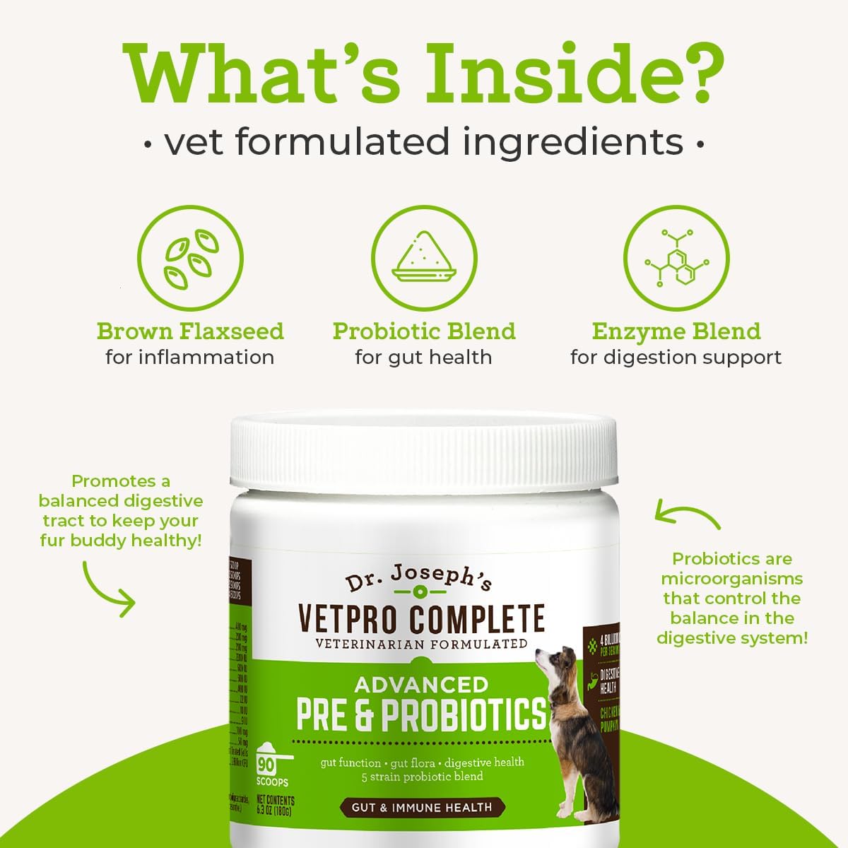 Dr. Joseph's VetPro Complete Advanced Powdered Pre & Probiotics for Dogs, 90 Scoops, Supports Gut