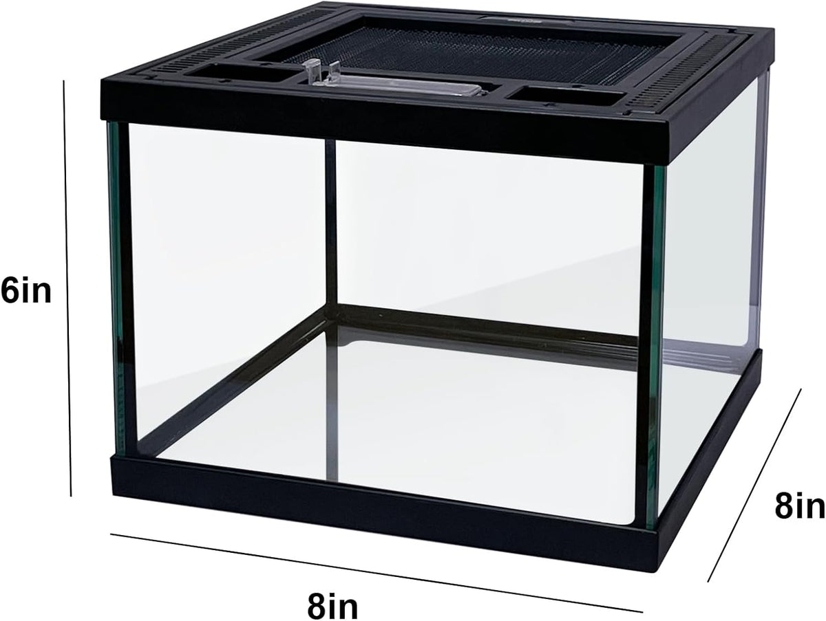 Mini Reptile Glass Terrarium Tank 8 * 8 * 6" Full View, Amphibians Box Habitat Enclosure Cage for