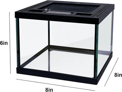 Mini Reptile Glass Terrarium Tank 8 * 8 * 6" Full View, Amphibians Box Habitat Enclosure Cage for