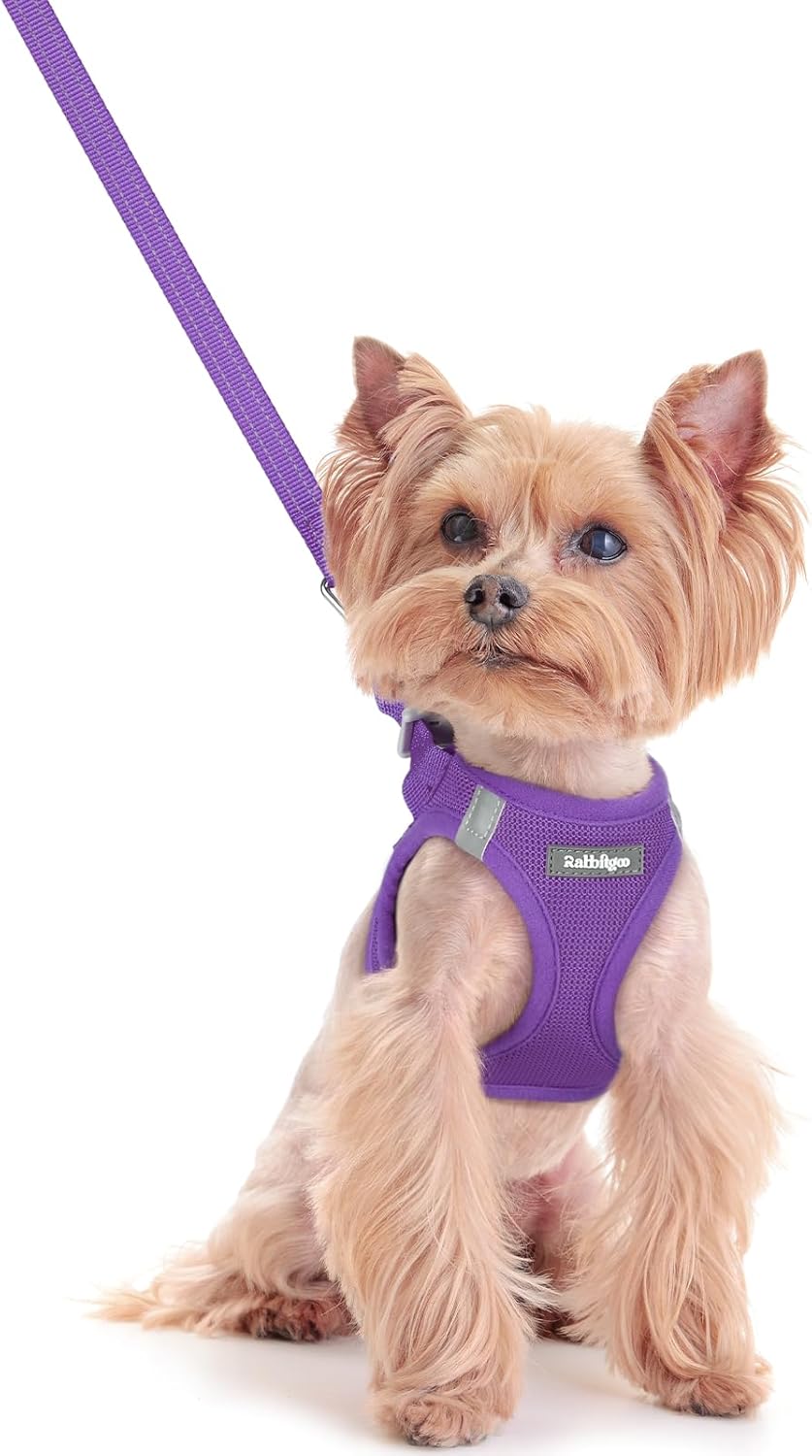 rabbitgoo Dog Harness Small Sized and Leash Set, Step in Soft Light Puppy Vest, Breathable Mesh Pet