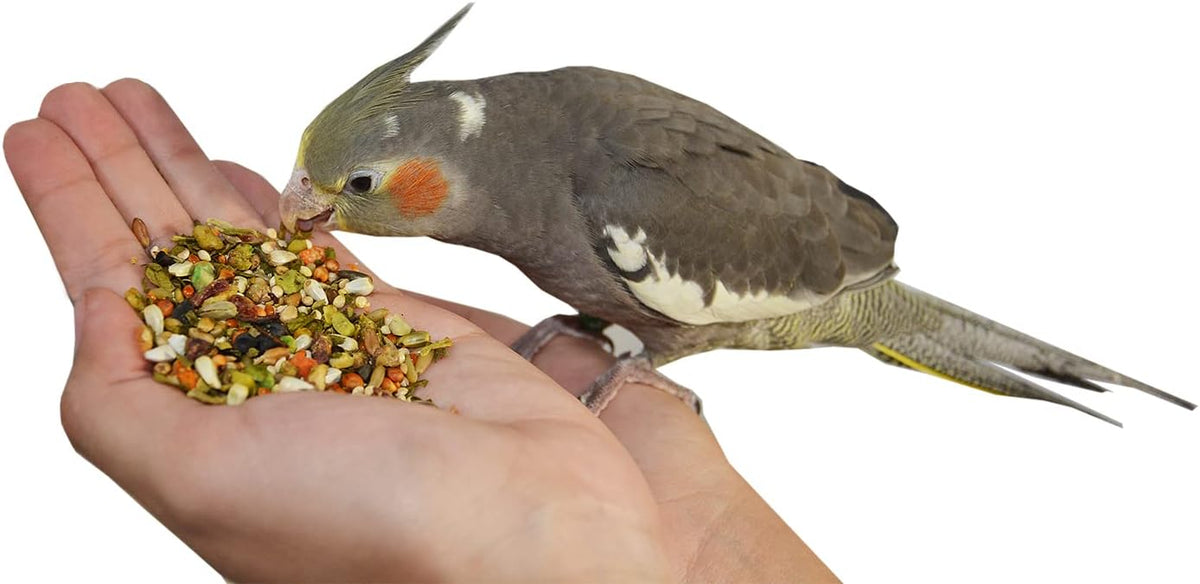 Birds LOVE All Natural Garden Blend Bird Food for Medium Birds - Cockatiels, Green Cheek Conures