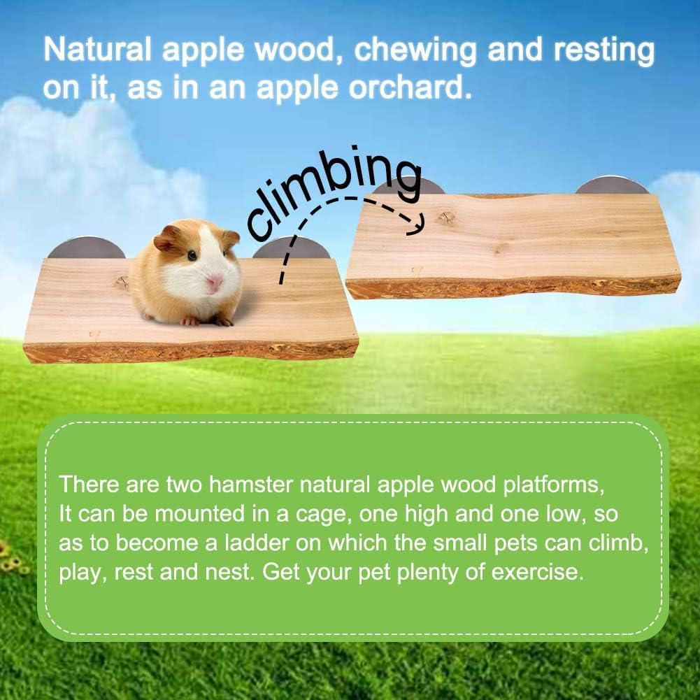 2Pcs Hamster Ledges Wooden Platform Rat Climb Platform Shelf Bird Perch Stand Toys Cage Accessories