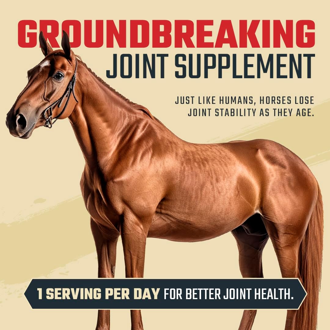 8 in 1 Maximum Strength Equine Joint Supplement - Joint Supplement for Horses - Glucosamine, MSM