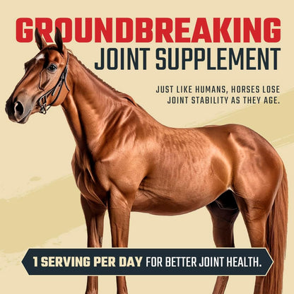 8 in 1 Maximum Strength Equine Joint Supplement - Joint Supplement for Horses - Glucosamine, MSM