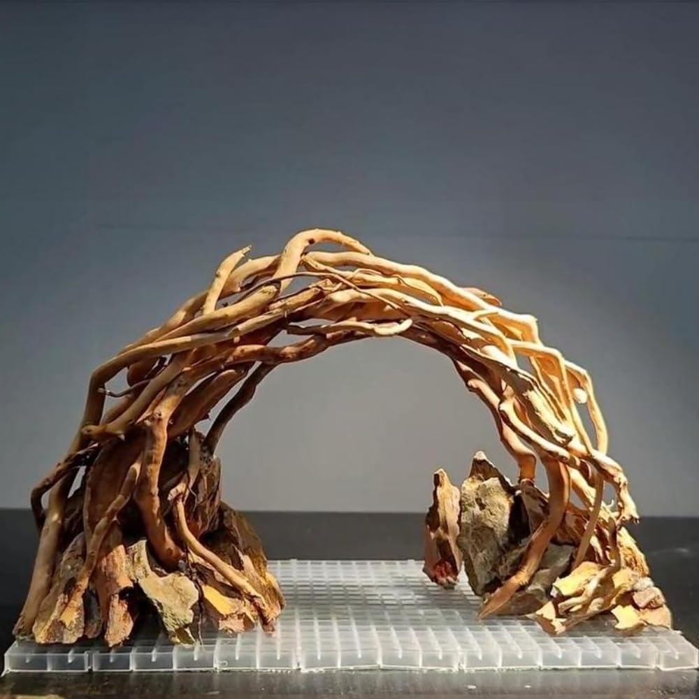 Aquarium Driftwood Centerpiece Aquarium Landscape, Handcrafted!!! Fish Tank hardscape Landscape