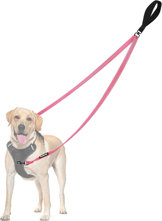 PetBonus Two Point Control Dog Leash, Works with No Pull Harnesses, No Tangle Training Leashes