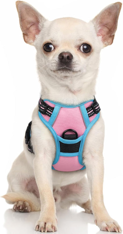rabbitgoo Dog Harness No Pull with 2 Leash Clips, Adjustable Soft Padded, Reflective Oxford No