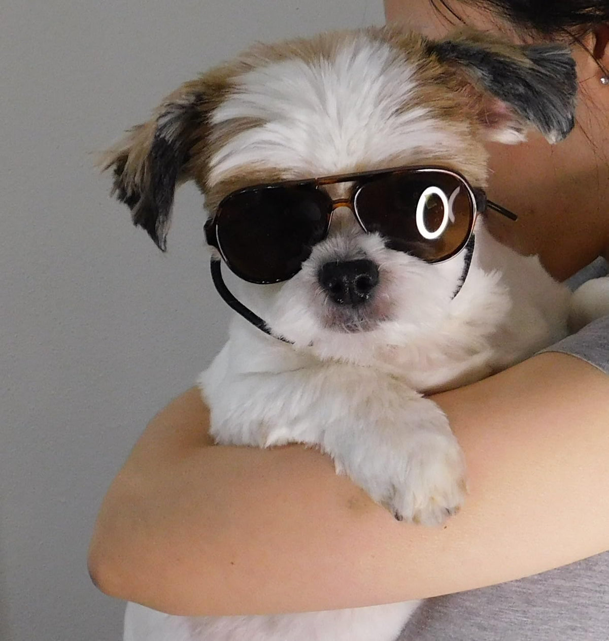 G029 Dog Cat Pet Aviator Pilot Sunglasses Glasses for Small Breeds up to 15lbs (2-Pack Black +