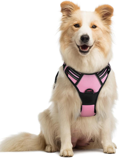 rabbitgoo Dog Harness No Pull with 2 Leash Clips, Adjustable Soft Padded, Reflective Oxford No