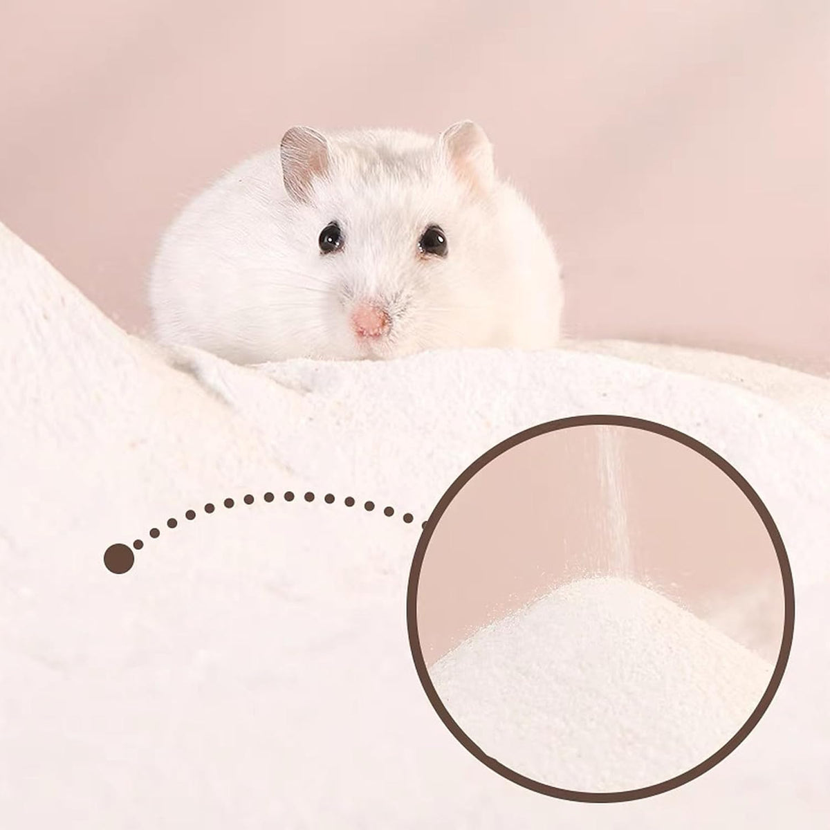 DR.DUDU Hamster Bath Sand, 12lb Dust Free Desert Sand or Potty Litter Sand for Hamster Chinchillas