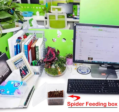 20 Pcs Spider Terrariums Breeding Box Hatching Container Acrylic Feeding Box for Small Reptile