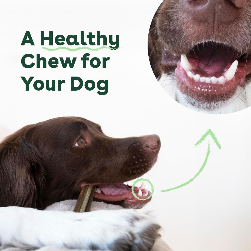 Pupford Dental Chews for Dogs, All-Natural 4-Inch Sticks for Plaque, Tartar & Bad Breath, Grooved