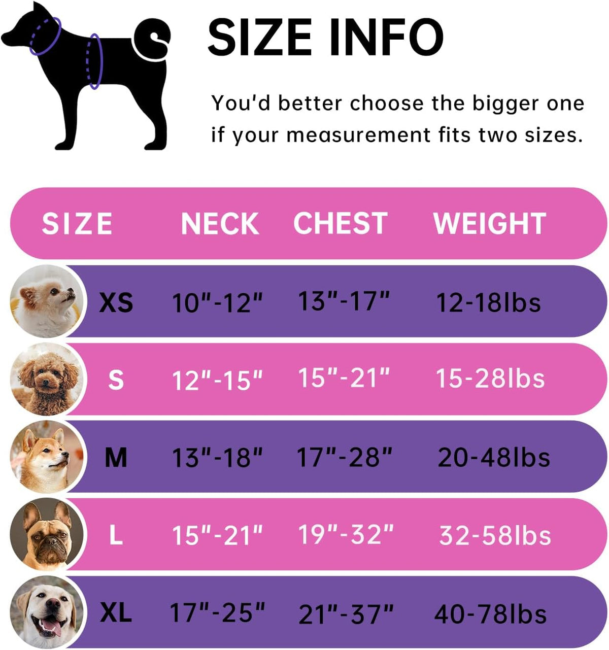 IVY&LANE No Pull Dog Harness for Large Dogs, Dog Vest Harness with Leash, Safety Belt and Storage