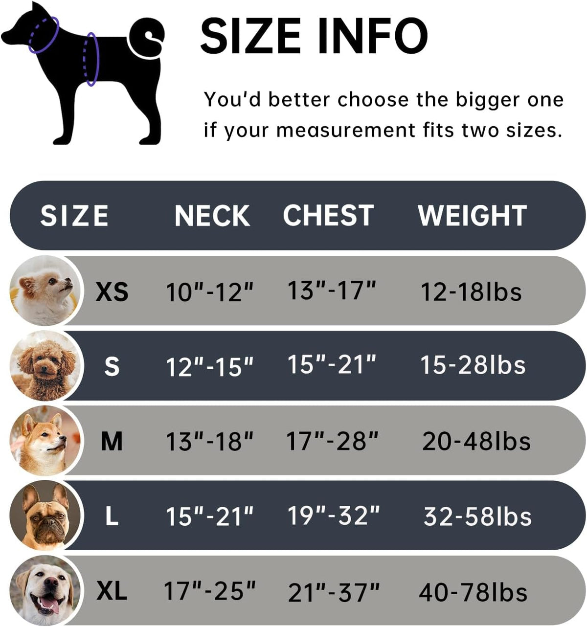 IVY&LANE No Pull Dog Harness for Medium Dogs, Dog Vest Harness with Leash, Safety Belt and Storage